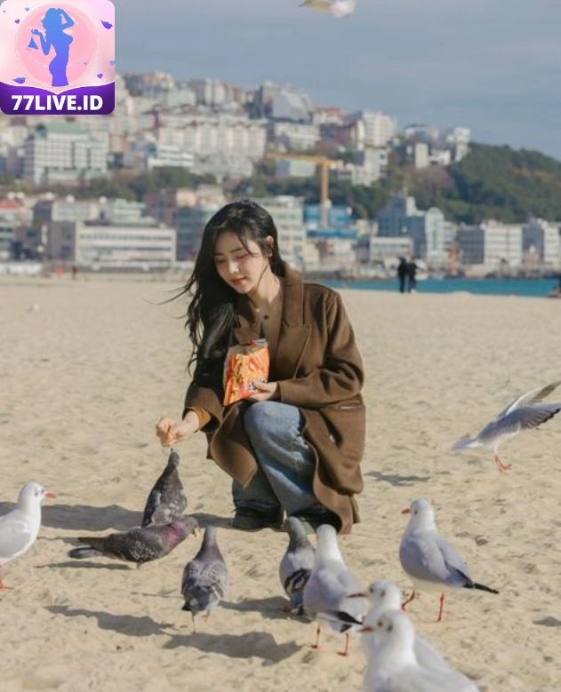 Biển -hot51.live