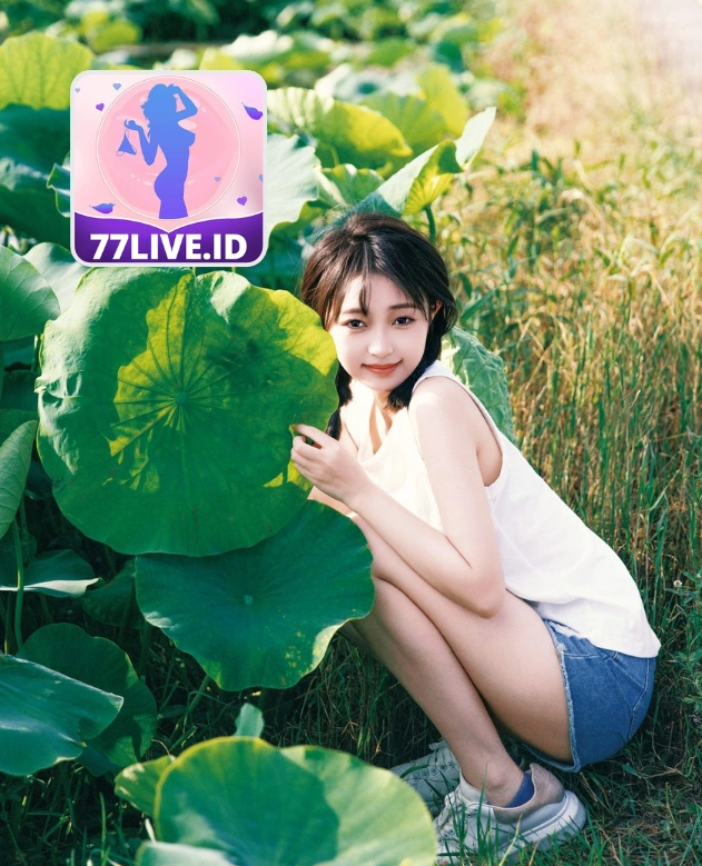 Addison Hayes-77live.id