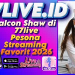 Falcon Shaw di 77live Pesona Streaming Favorit 2026