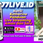 Hot51 Katherine Panduan Live Streaming Aman dan Seru